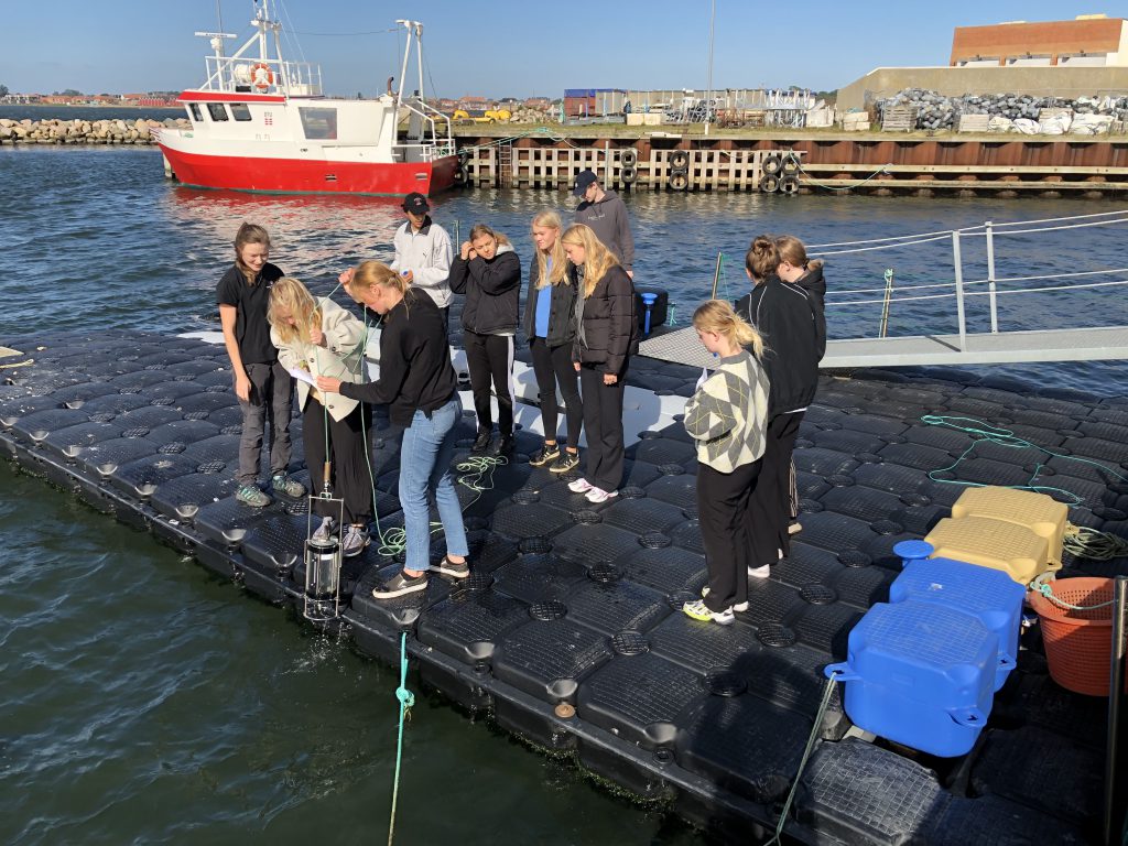 STEM-projekt. Eleverne på havnen i gang med at tage vandprøver til biologisk forsøg. Flot vejr på en skøn sensommerdag.